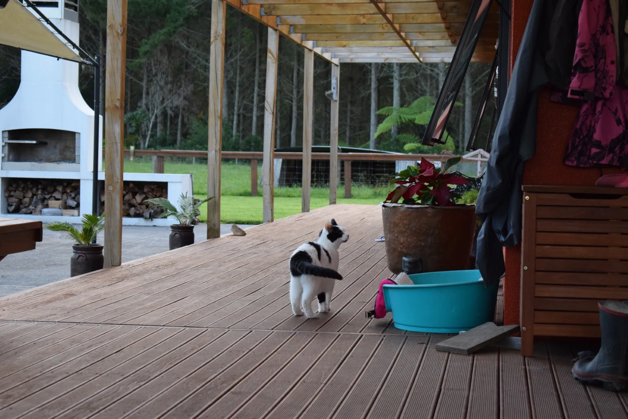 A28 marshall venturing further afield 28 jan 2018 (5)